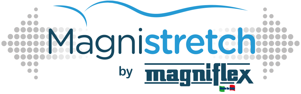 LOGO-MAGNISTRECH_1000x312